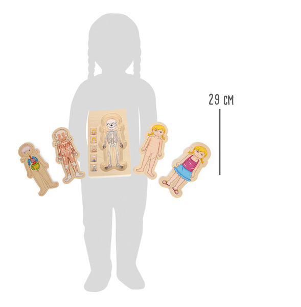 Puzzle edukacyjne Anatomia budowa ciała Dziewczynka