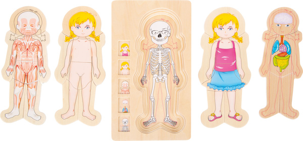 Puzzle edukacyjne Anatomia budowa ciała Dziewczynka
