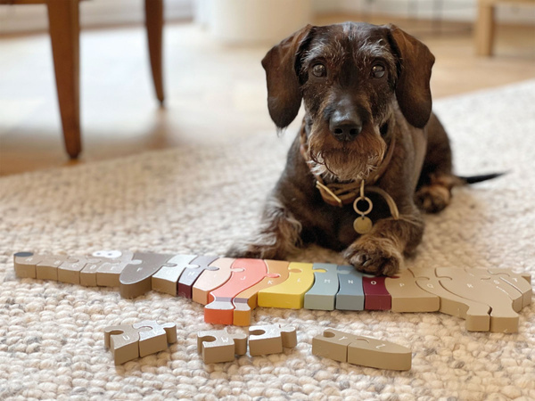 Puzzle z Literkami Pies Jamnik drewniana układanka ALFABET