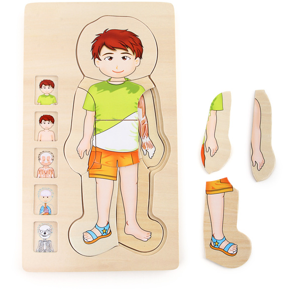 Puzzle edukacyjne Anatomia budowa ciała Chłopiec